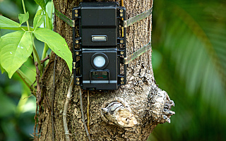 Specjalne kamery i czujniki dymu pomogą chronić elbląskie lasy przed pożarami